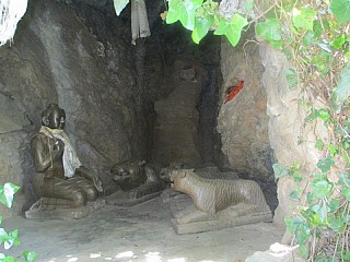 Budha Offering his own blood to tigers