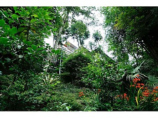 Building view from the down