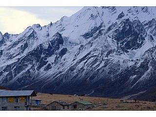 Day 3: Himalayas at Langtang