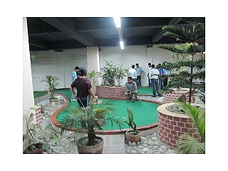 People Busy on playing Mini Golf