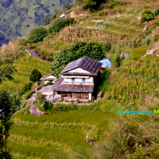 Typical Nepali House